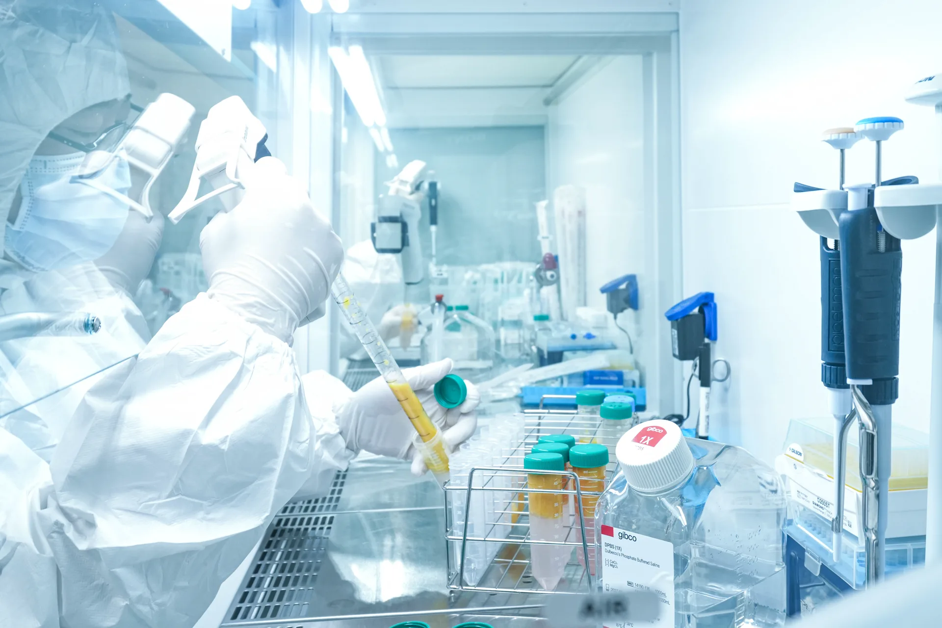 Anti-Aging stem cell research image